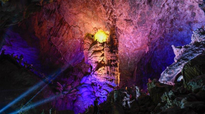 探索知识星球平台,畅享工伤断三根腰椎赔偿多少钱?的精彩世界